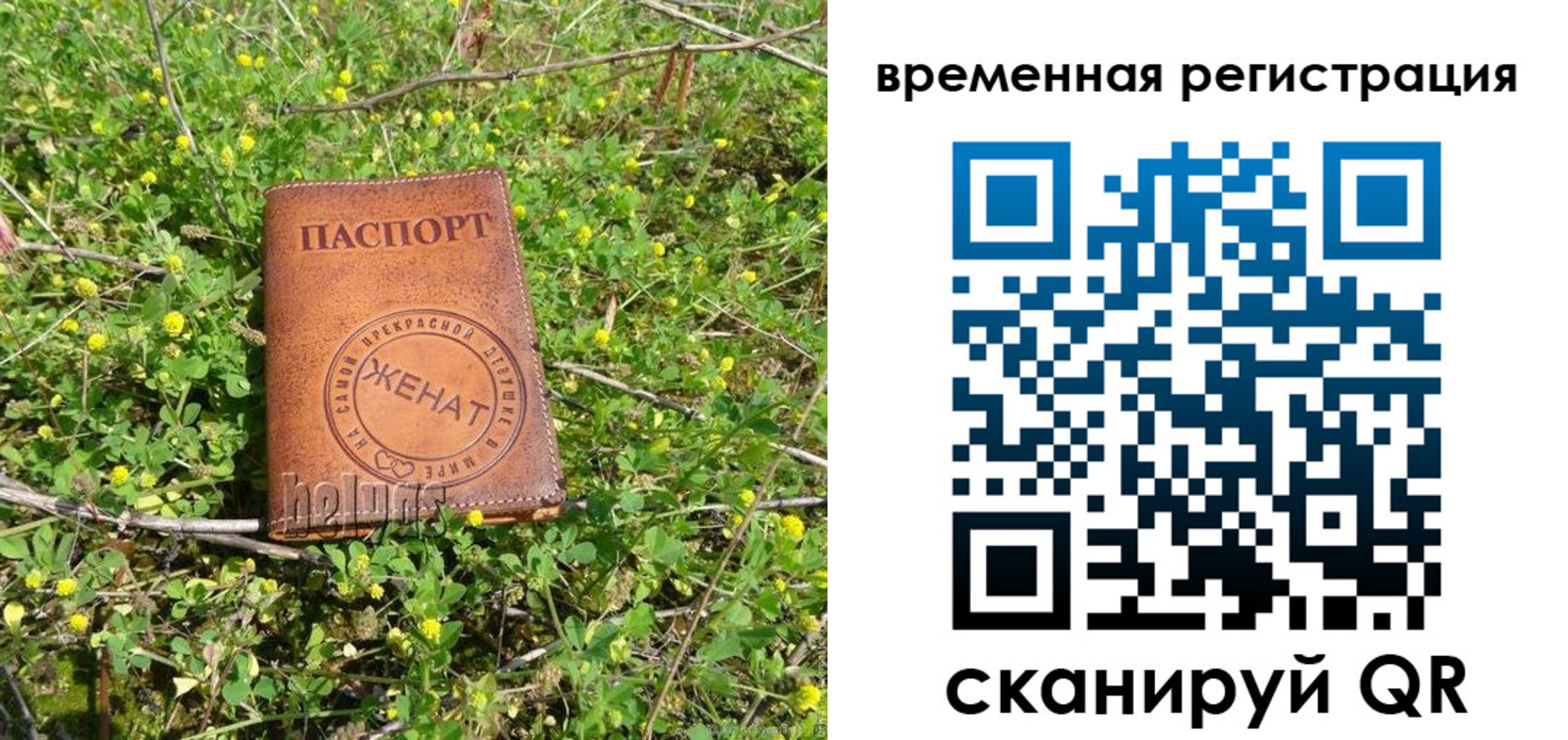 прописка регистрация в Сосенском